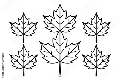 Natural Sycamore Leaf Icon Design Pack