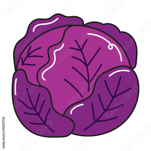 purple cabbage, hand drawn doodle illustration, vector