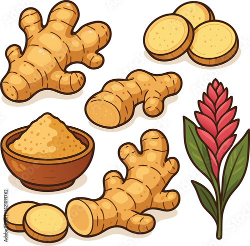 ginger illustration set