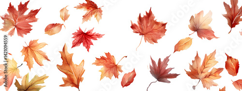 30 watercolor autumn leaves and fall elements on a transparent background PNG