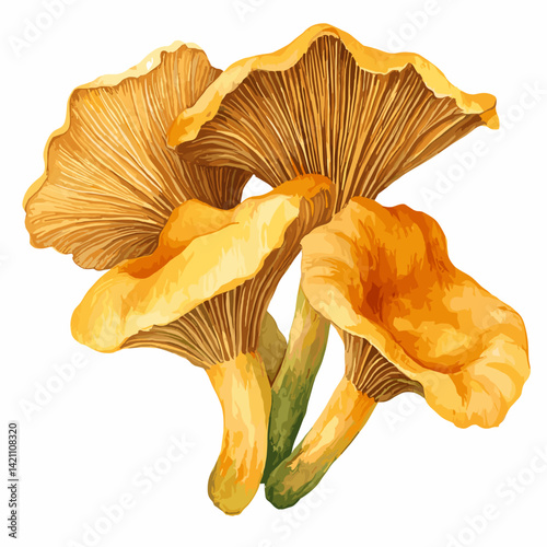 Watercolor Chanterelle Mushrooms – Rustic Forest Foraging Art