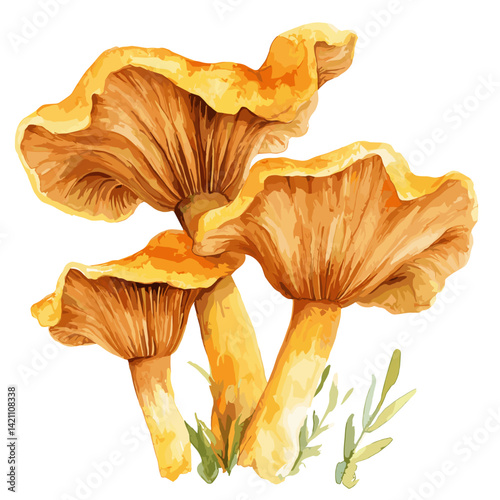 Watercolor Chanterelle Mushrooms – Rustic Forest Foraging Art