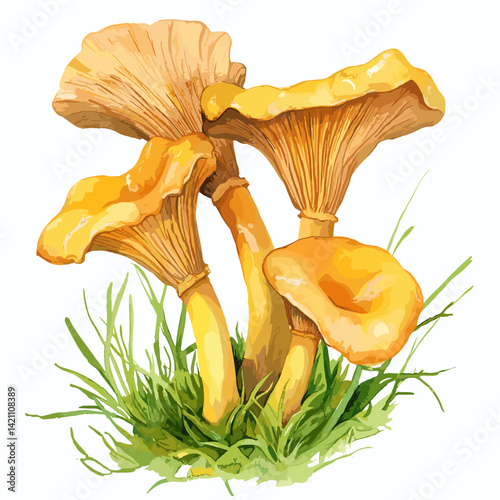 Watercolor Chanterelle Mushrooms – Rustic Forest Foraging Art