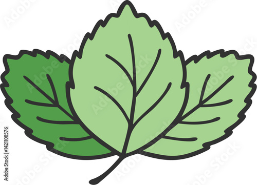 Hazel leaf vector icon .