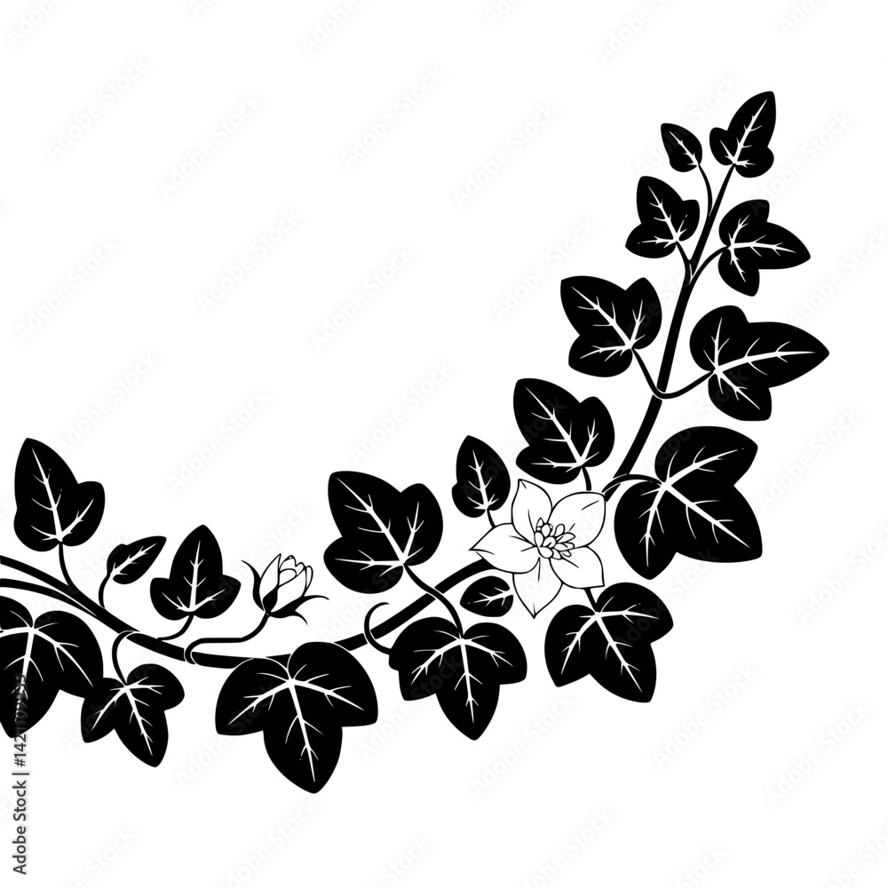 Obraz premium Elegant Botanical Black & White Floral Illustration with Decorative Elements