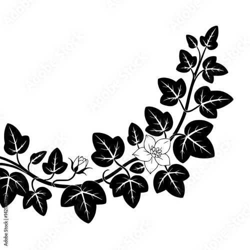 Elegant Botanical Black & White Floral Illustration with Decorative Elements
