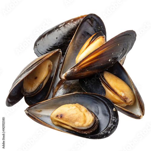 A mussels isolated on a transparent background