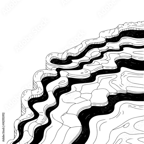 Abstract Black and White Topographical Landscape Illustration