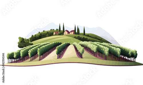 Scenic Vineyard Landscape Vector Illustration in Simple 3D Style for Graphic Design