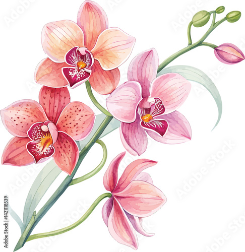 Wildflower Field with Colorful Blooms – Vector Design