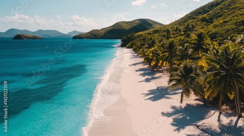 Fototapeta Naklejka Na Ścianę i Meble -  Idyllic tropical white sand beach with swaying coconut palm trees and crystal clear turquoise sea under bright blue sky on a remote caribbean island paradise
