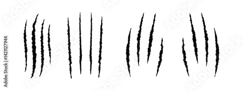 Animal paw print silhouette with scratches and claw markings. talons cuts cat, tiger, dog, lion, monster isolated on white background