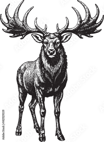 Irish elk