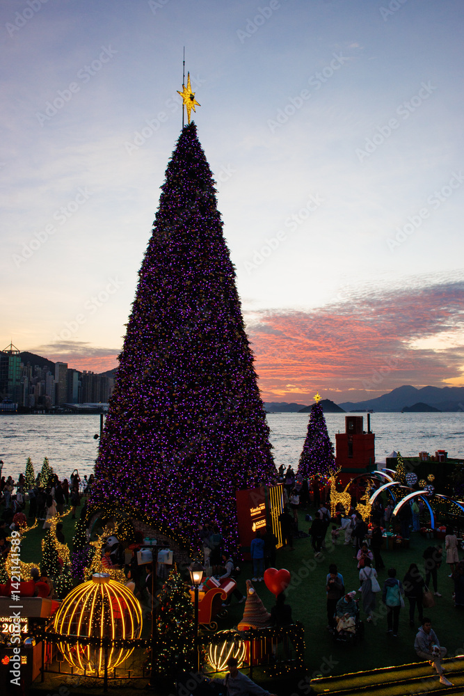 Seaside Christmas Trees at Sunset with Mountain Silhouette