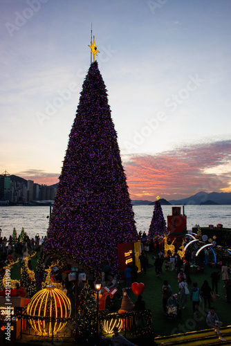 Obraz na płótnie Seaside Christmas Trees at Sunset with Mountain Silhouette w salonie
