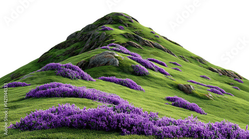 Lush Mountainside Bloom: A vibrant green hillside blooms with purple wildflowers, creating a breathtaking tapestry of natural beauty.