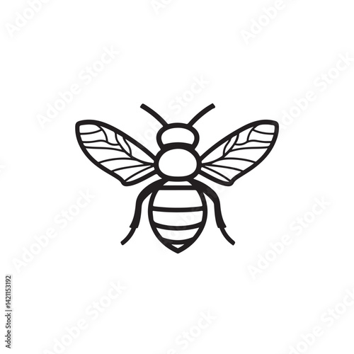 predatory bee