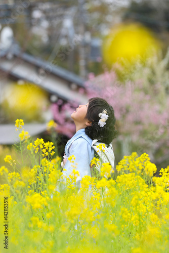 Obraz na płótnie 菜の花畑の七五三 女の子７歳⑥