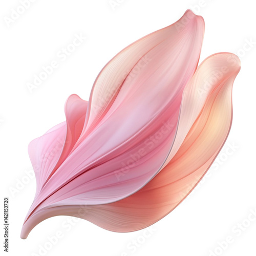 Pink flower petals abstract art colorful lines background design