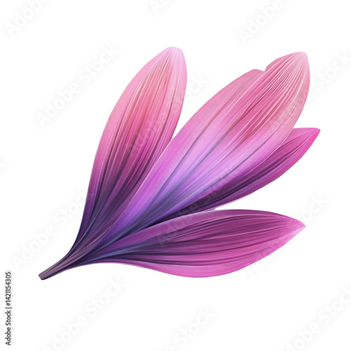 Pink and purple flower petals abstract art design floral illustration