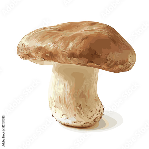 Porcini Mushroom Vector Trio on White