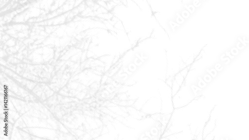 White abstract background with a pattern of tree branches. Vector illustration.