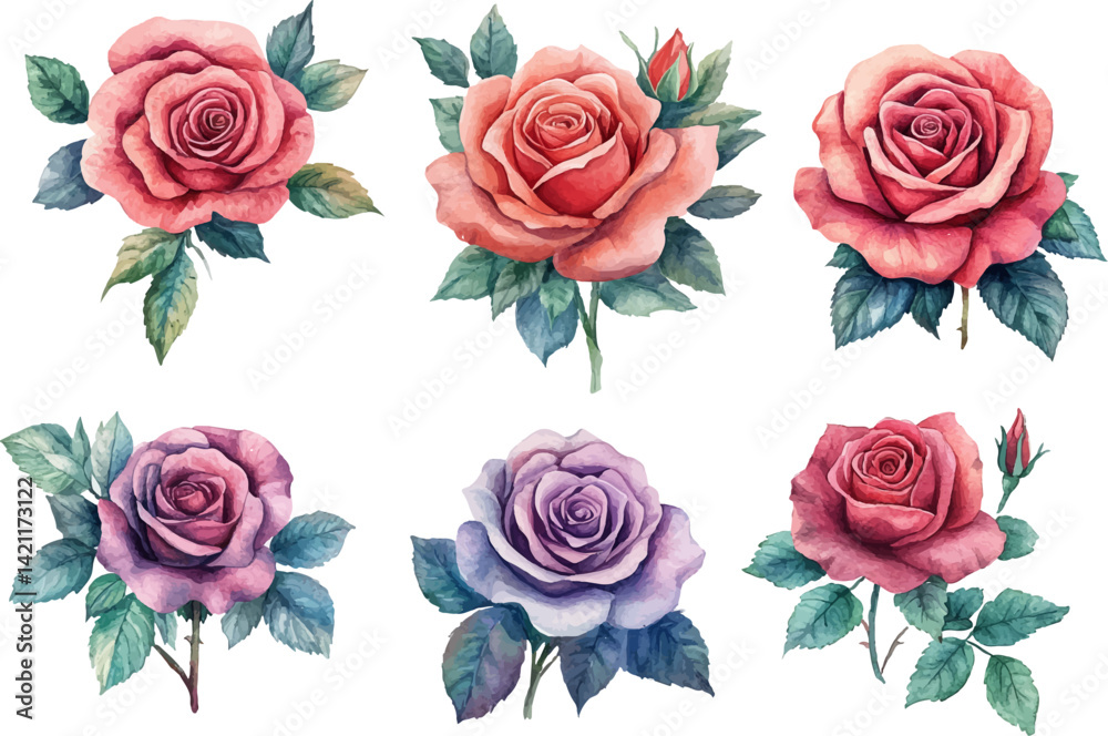 Fototapeta premium Watercolor Pink Rose Blossom