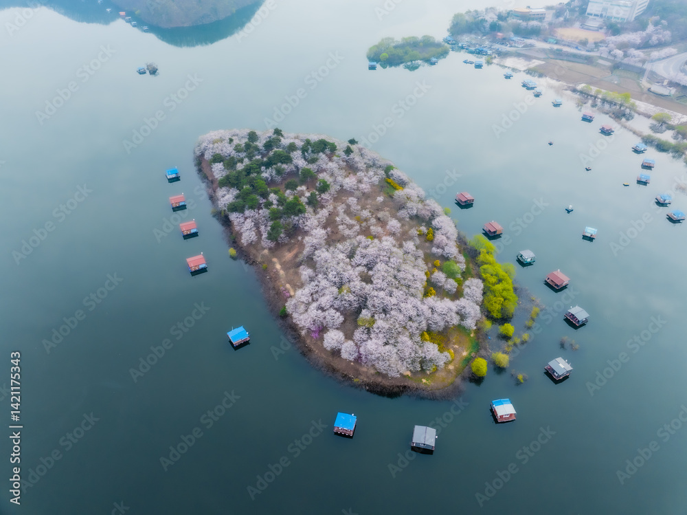 I took a picture of an island with cherry blossoms blooming on the lake and a view of small houses.