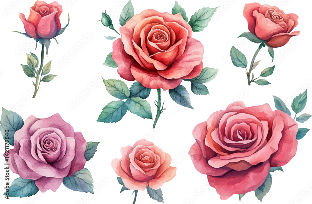 Fototapeta premium Botanical Watercolor Pink Rose