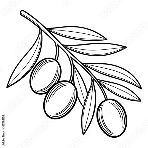 Line drawing of a small cluster of olives, Food vector, olive vector art and illustration on a white background