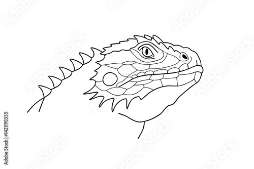 Detailed line art of an iguana head isolated on white background