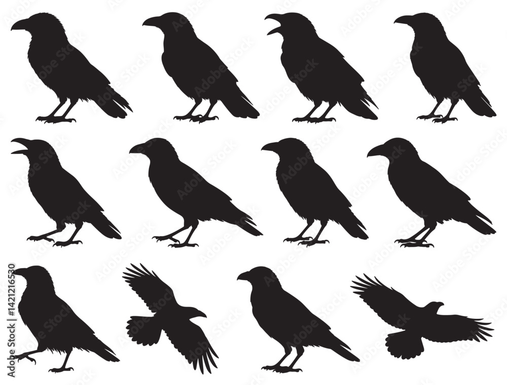 Fototapeta premium CROW SILHOUETTE WHITE BACKGROUND