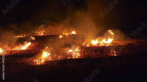 Massive fire from stubble burning on harvested farm field at night – 4K stock footage