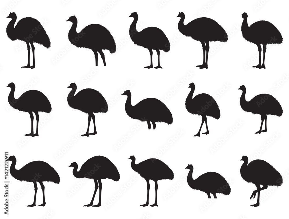Obraz premium EMU SILHOUETTE WHITE BACKGROUND