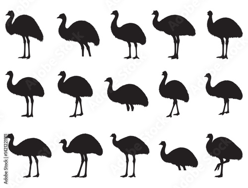 EMU SILHOUETTE WHITE BACKGROUND