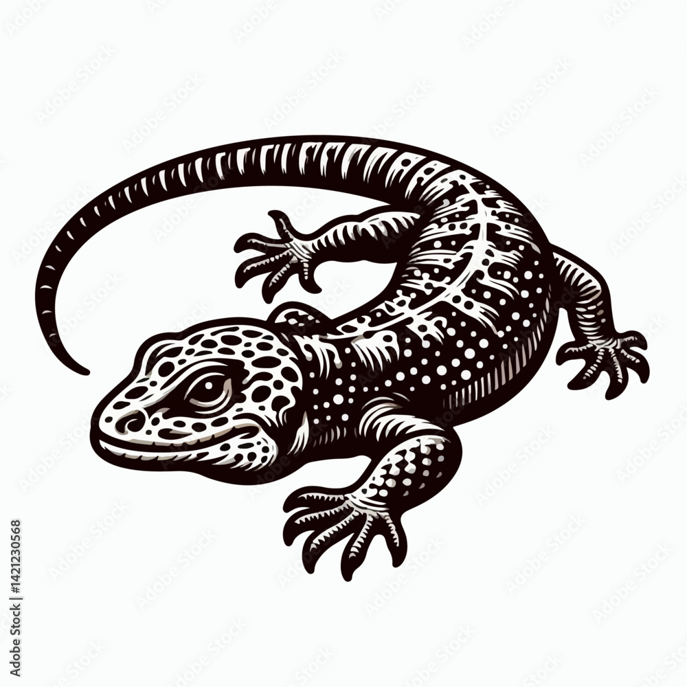 Fototapeta premium lizard on white background
