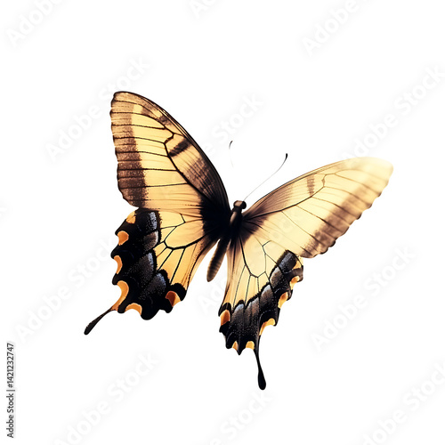 A detailed yellow and black butterfly with spread wings shown in high resolution against a transparent background with clear wing patterns and realistic body texture