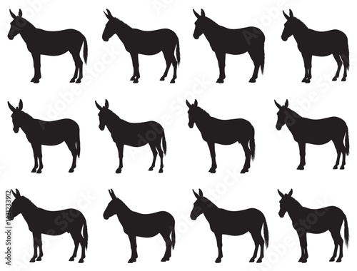 MULE SILHOUETTE WHITE BACKGROUND