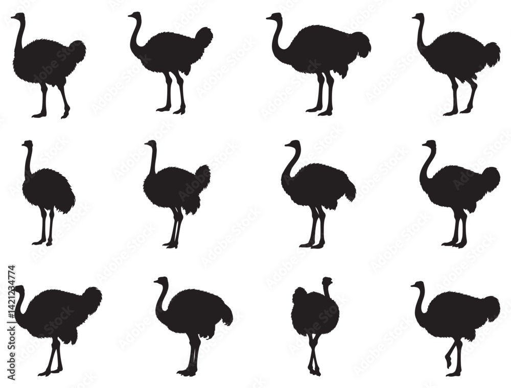 Fototapeta premium OSTRICH SILHOUETTE WHITE BACKGROUND