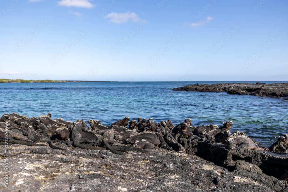 The Galapagos Islands are a volcanic archipelago in Ecuador, the first to be designated a World Natural Heritage Site. They are known as the loneliest and most beautiful archipelago in the world The Galapagos Islands are a volcanic archipelago in Ecuador, the first to be designated a World Natural Heritage Site. They are known as the loneliest and most beautiful archipelago in the world
