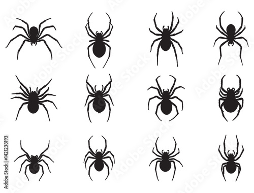 SPIDER SILHOUETTE WHITE BACKGROUND