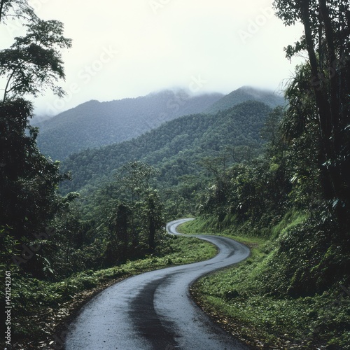 Switchback road in a mountainous region with thick foliage, isolated