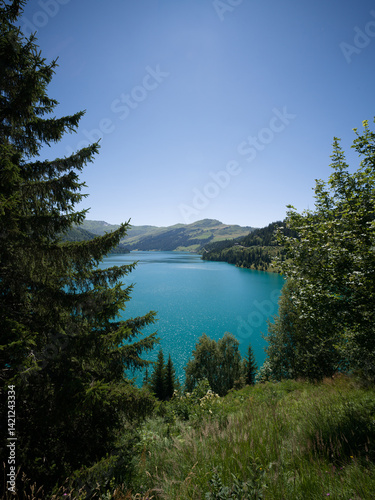 Saint-Guérin lake framed by alpine trees and forest, French Alps