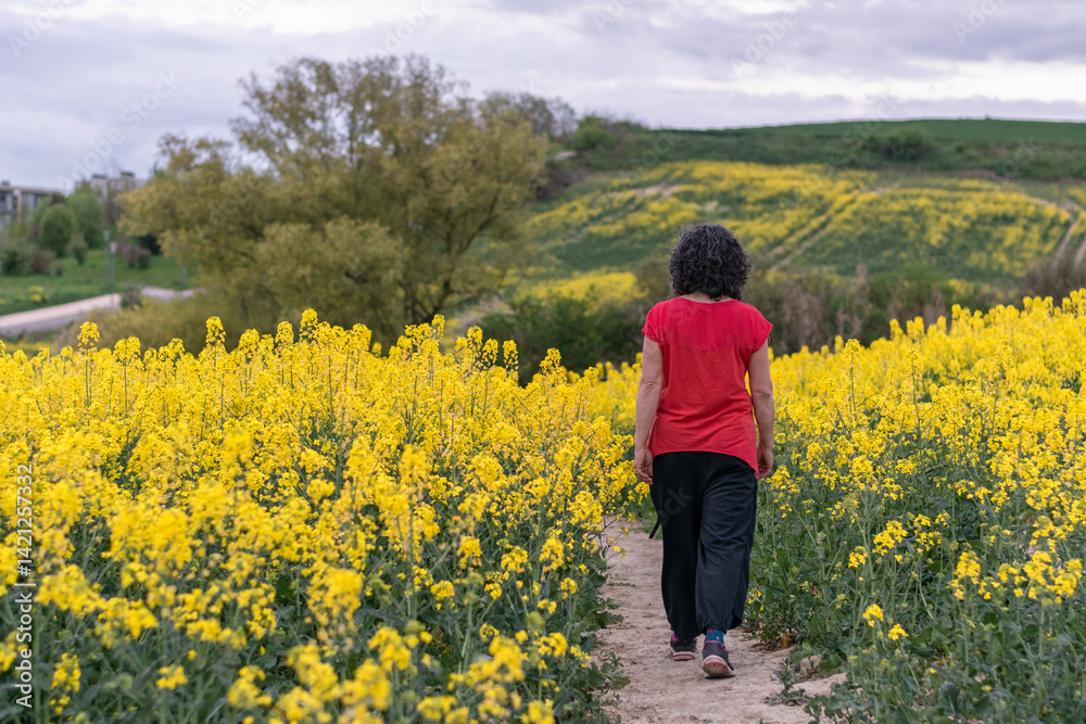 Woman walking through rapeseed fields Woman walking through rapeseed fields