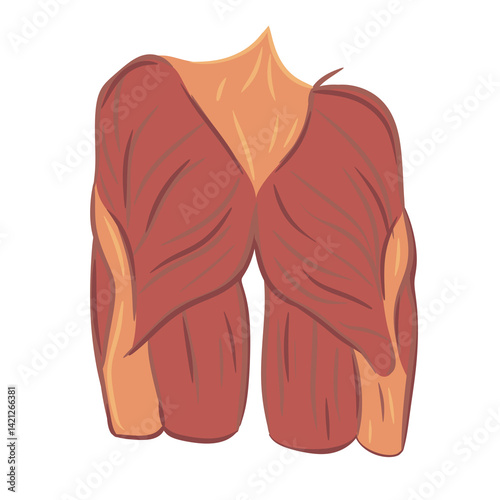 medical