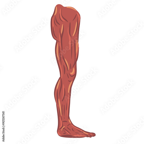 medical