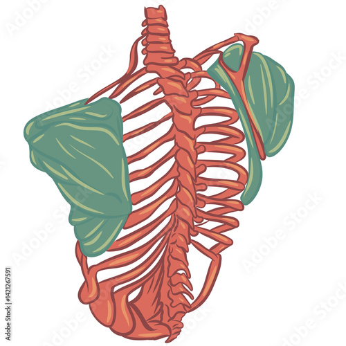 medical