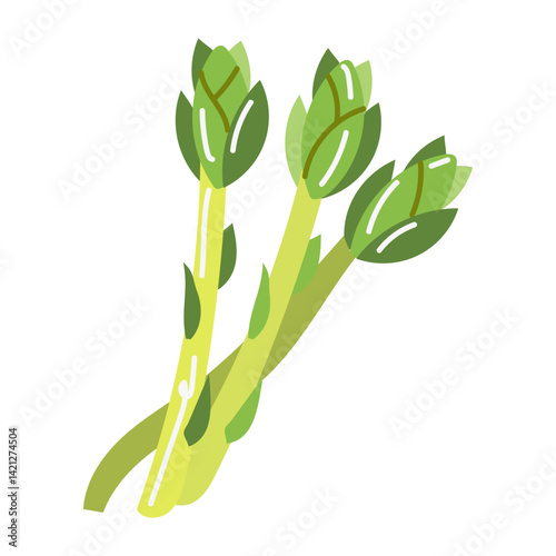 Asparagus. hand drawn doodle illustration. vector