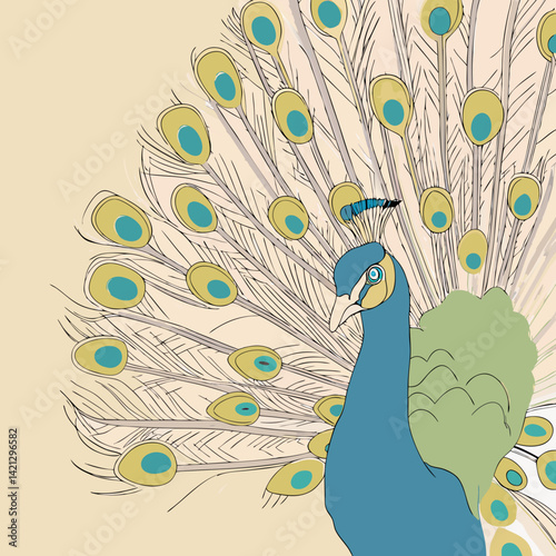 Vibrant vector illustration of a colorful peacock with fully open feathers, perfect for prints, décor, and digital art projects.