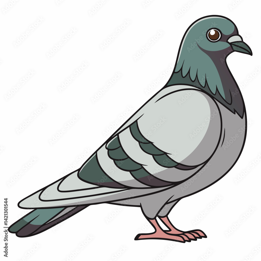 Obraz premium Realistic full-body illustration of a Rock Dove, an American domestic bird, depicted on a clean white background. Perfect for nature, bird, and wildlife-themed designs.